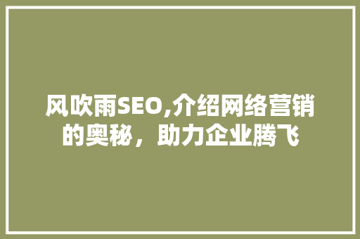风吹雨SEO,介绍网络营销的奥秘，助力企业腾飞