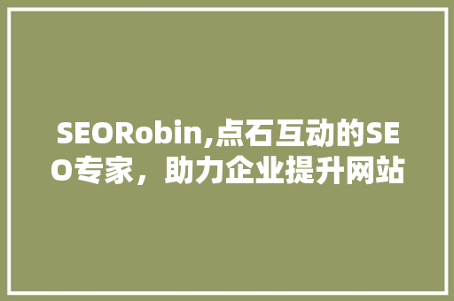 SEORobin,点石互动的SEO专家，助力企业提升网站排名与流量