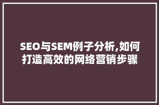SEO与SEM例子分析,如何打造高效的网络营销步骤
