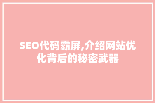 SEO代码霸屏,介绍网站优化背后的秘密武器
