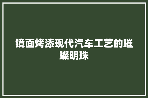 镜面烤漆现代汽车工艺的璀璨明珠