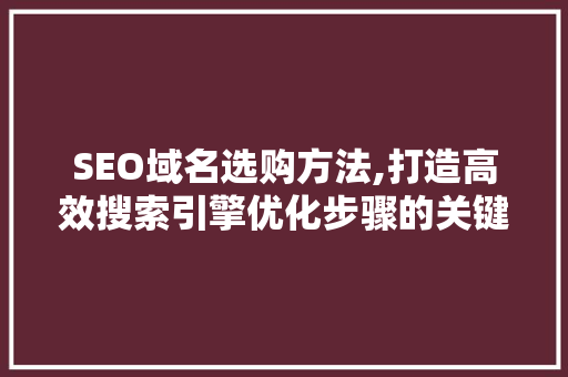 SEO域名选购方法,打造高效搜索引擎优化步骤的关键一步