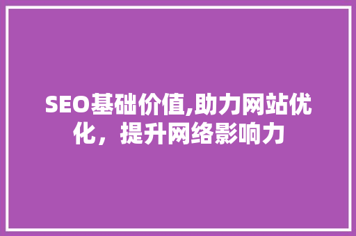 SEO基础价值,助力网站优化，提升网络影响力