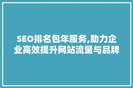 SEO排名包年服务,助力企业高效提升网站流量与品牌知名度