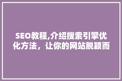 SEO教程,介绍搜索引擎优化方法，让你的网站脱颖而出
