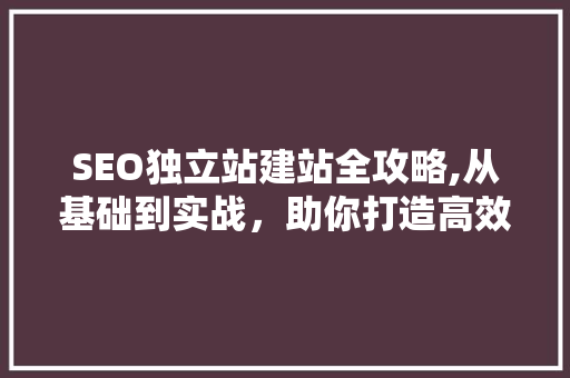 SEO独立站建站全攻略,从基础到实战，助你打造高效网站