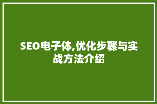 SEO电子体,优化步骤与实战方法介绍