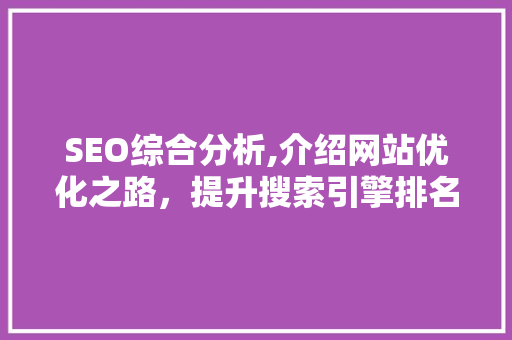 SEO综合分析,介绍网站优化之路，提升搜索引擎排名