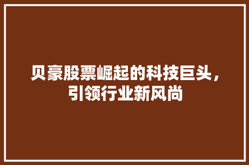 贝豪股票崛起的科技巨头，引领行业新风尚