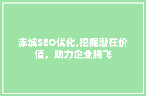 赤城SEO优化,挖掘潜在价值，助力企业腾飞