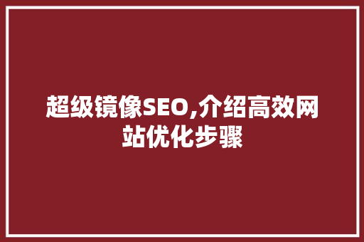超级镜像SEO,介绍高效网站优化步骤