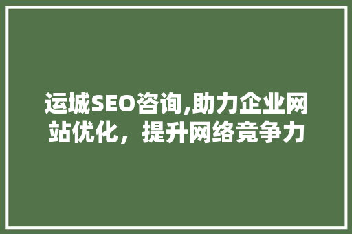 运城SEO咨询,助力企业网站优化，提升网络竞争力