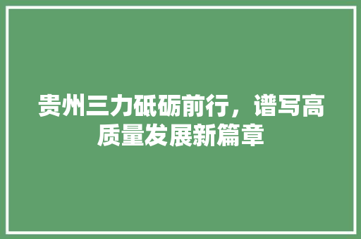 贵州三力砥砺前行，谱写高质量发展新篇章
