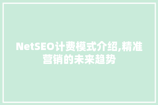 NetSEO计费模式介绍,精准营销的未来趋势
