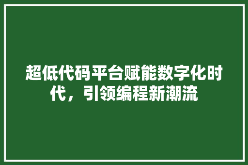 超低代码平台赋能数字化时代，引领编程新潮流