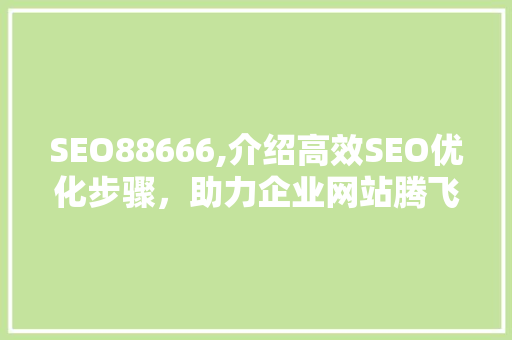 SEO88666,介绍高效SEO优化步骤，助力企业网站腾飞