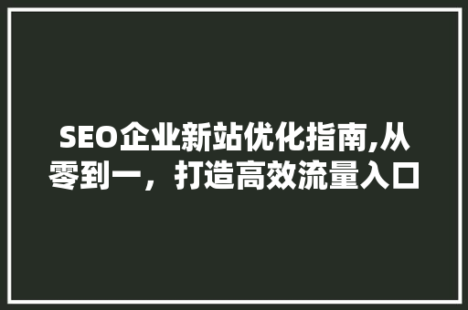 SEO企业新站优化指南,从零到一，打造高效流量入口