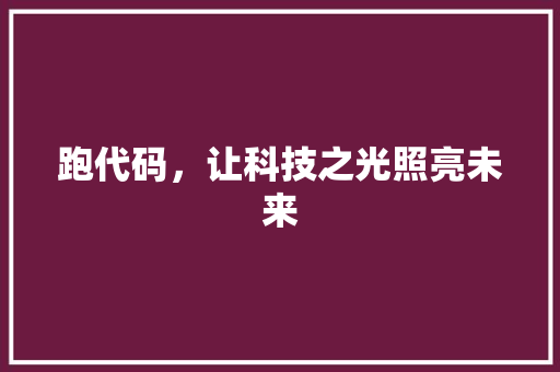跑代码，让科技之光照亮未来
