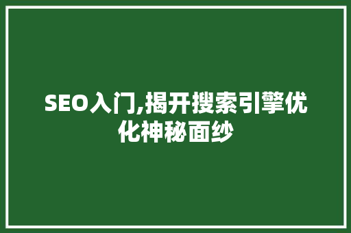 SEO入门,揭开搜索引擎优化神秘面纱