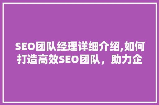 SEO团队经理详细介绍,如何打造高效SEO团队，助力企业互联网发展