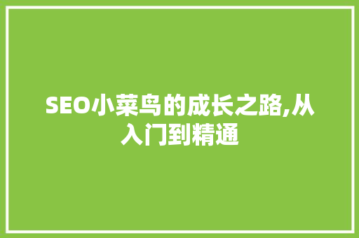 SEO小菜鸟的成长之路,从入门到精通