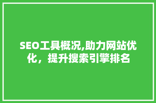 SEO工具概况,助力网站优化，提升搜索引擎排名
