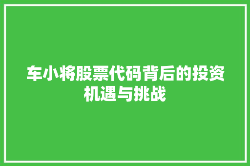 车小将股票代码背后的投资机遇与挑战
