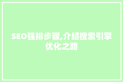 SEO强排步骤,介绍搜索引擎优化之路