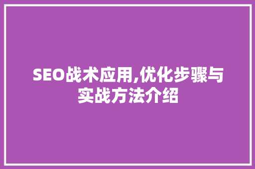 SEO战术应用,优化步骤与实战方法介绍