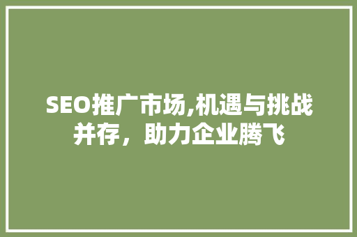 SEO推广市场,机遇与挑战并存，助力企业腾飞