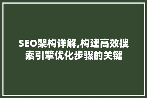 SEO架构详解,构建高效搜索引擎优化步骤的关键