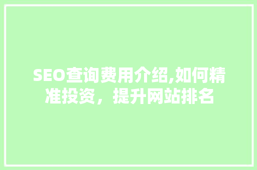SEO查询费用介绍,如何精准投资，提升网站排名