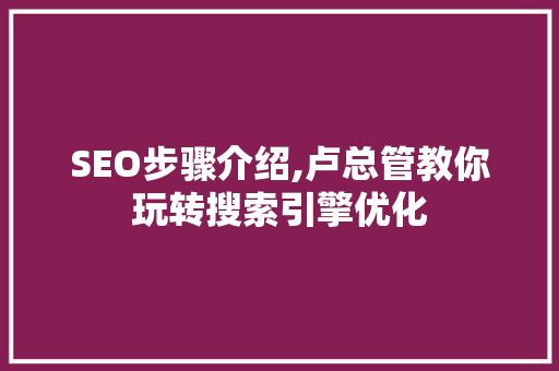 SEO步骤介绍,卢总管教你玩转搜索引擎优化