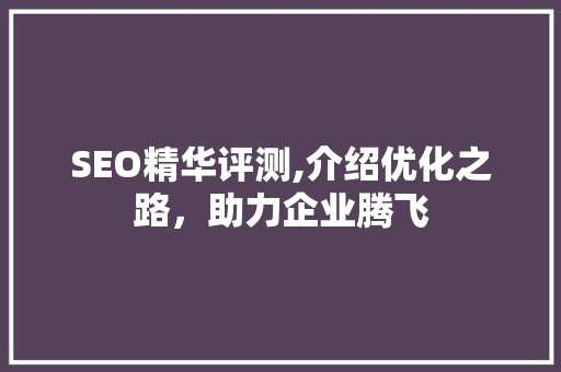 SEO精华评测,介绍优化之路，助力企业腾飞