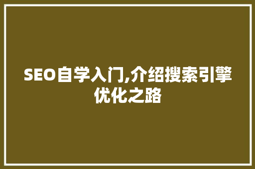 SEO自学入门,介绍搜索引擎优化之路