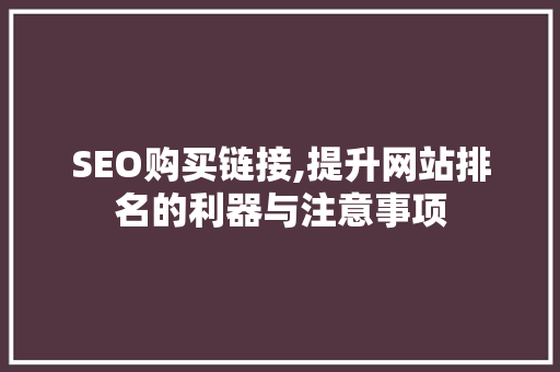 SEO购买链接,提升网站排名的利器与注意事项
