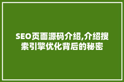 SEO页面源码介绍,介绍搜索引擎优化背后的秘密