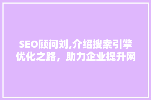 SEO顾问刘,介绍搜索引擎优化之路，助力企业提升网络竞争力