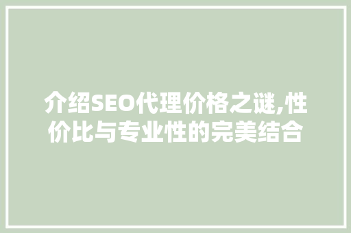 介绍SEO代理价格之谜,性价比与专业性的完美结合