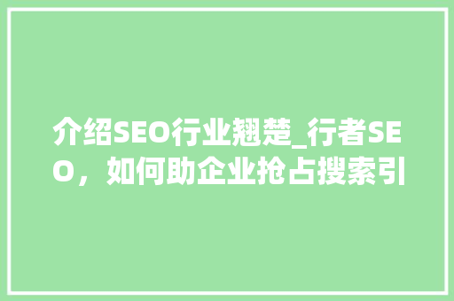 介绍SEO行业翘楚_行者SEO，如何助企业抢占搜索引擎高地