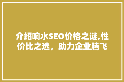 介绍响水SEO价格之谜,性价比之选，助力企业腾飞