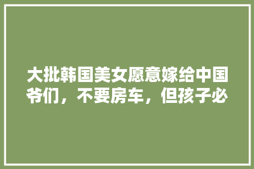 5G时代代码与未来的交响曲