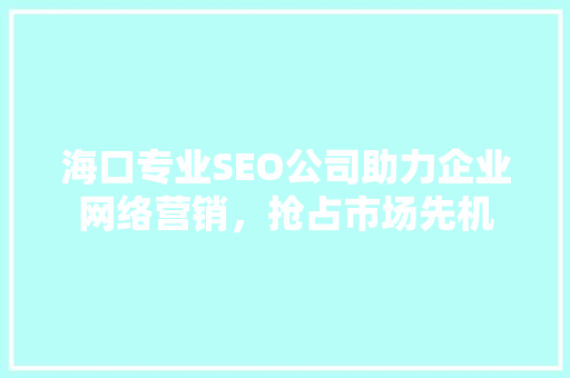 海口专业SEO公司助力企业网络营销，抢占市场先机