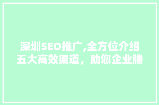 深圳SEO推广,全方位介绍五大高效渠道，助您企业腾飞