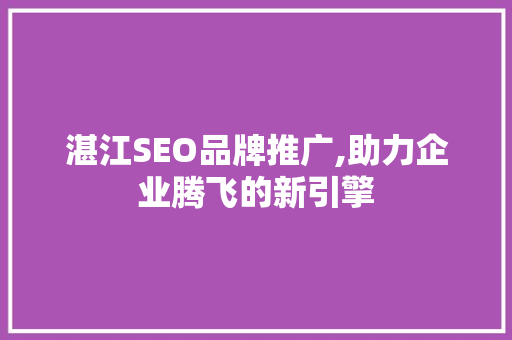 湛江SEO品牌推广,助力企业腾飞的新引擎