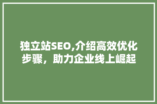 独立站SEO,介绍高效优化步骤，助力企业线上崛起