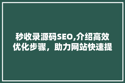 秒收录源码SEO,介绍高效优化步骤，助力网站快速提升排名