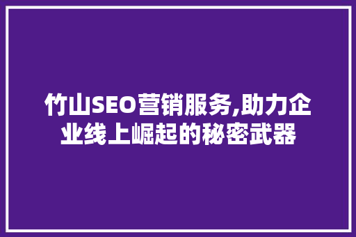 竹山SEO营销服务,助力企业线上崛起的秘密武器
