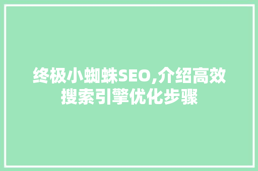 终极小蜘蛛SEO,介绍高效搜索引擎优化步骤