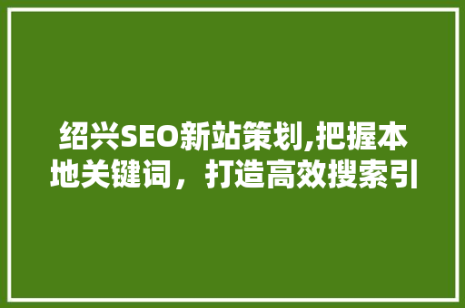 绍兴SEO新站策划,把握本地关键词，打造高效搜索引擎优化步骤